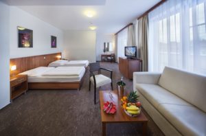 Hotel Academic