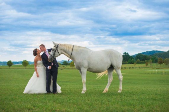 Favory Benice - novomanželé s koněm