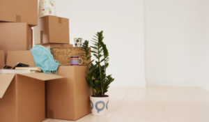 Bydlení pro novomanžele, vybalování