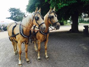 Kočár s koňmi - Zámecká terasa
